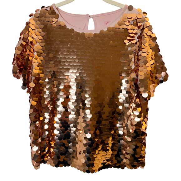 Eva Franco Anthropologie Pink Sequins Oversized Tee sz, XS - Picture 3 of 8
